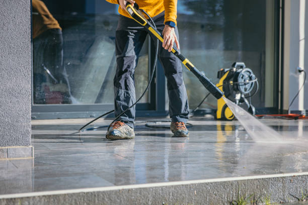 Animal Enclosure Cleaning in Woodlands, CA